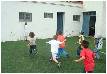 Palomita blanca o pollito inglés