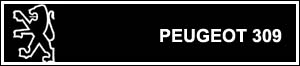 Peugeot 309 Diesel (1989)